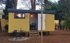 Forest Heath Shepherd'S Huts